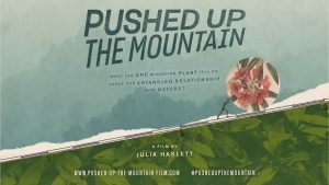 Pushed Up The Mountain Film Poster